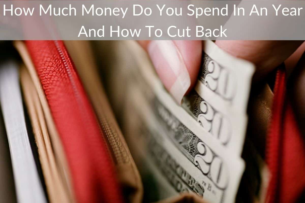 How Much Money Do You Spend In An Year And How To Cut Back