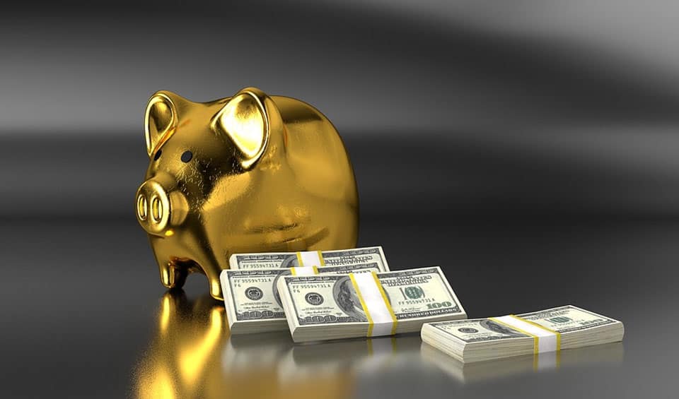 Gold Pig And Money
