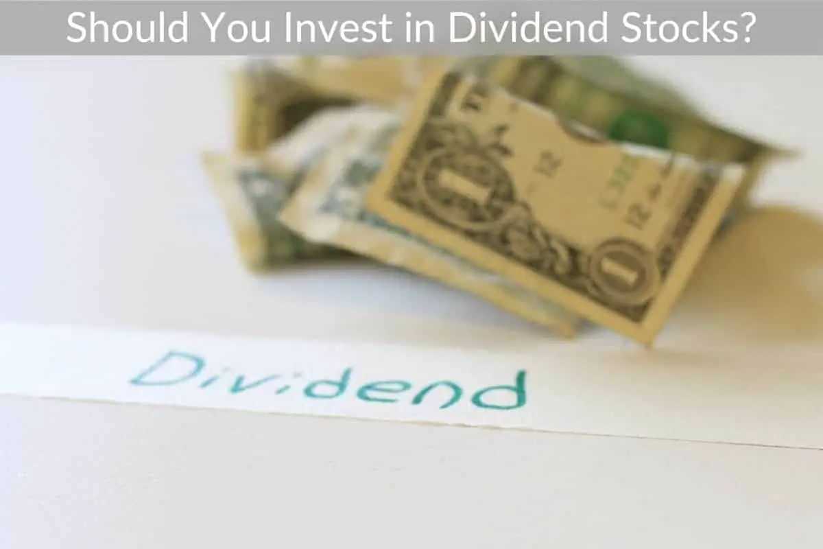 Should You Invest in Dividend Stocks?
