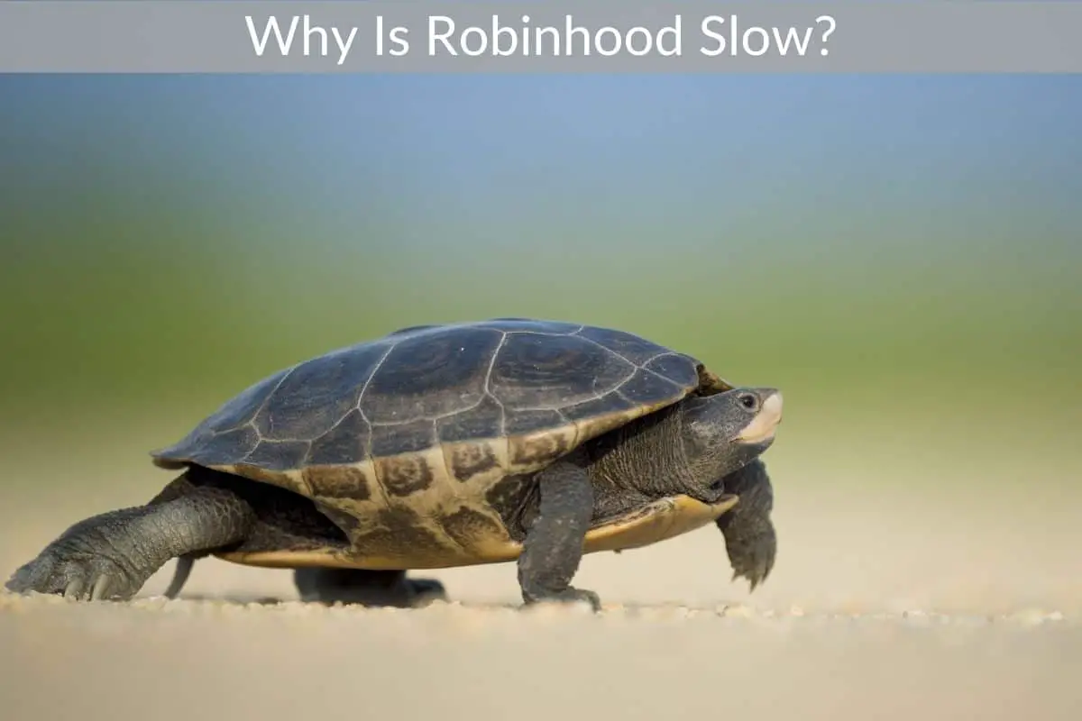Why Is Robinhood Slow?