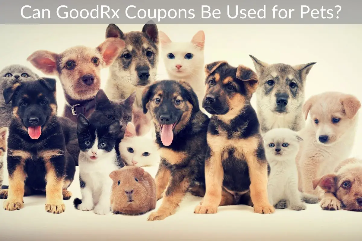 Can GoodRx Coupons Be Used for Pets?